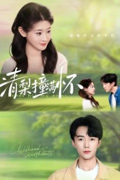 清梨撞满怀