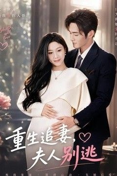 重生追妻，夫人别逃