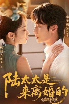 陆太太是来离婚的之慵便枕玉凉
