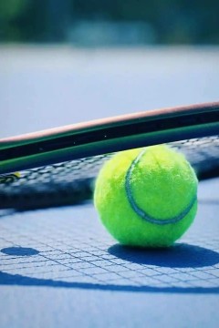 WTA250布拉格站女单半决赛：瓦伦托娃VS斯尼古尔