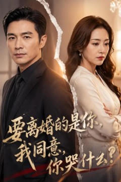 要离婚的是你，我同意，你哭什么？