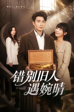 惜别旧人遇婉晴