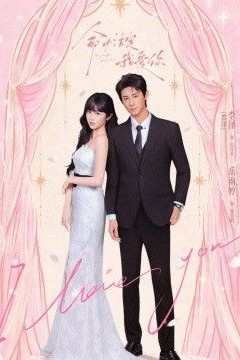 命中注定我爱你2026