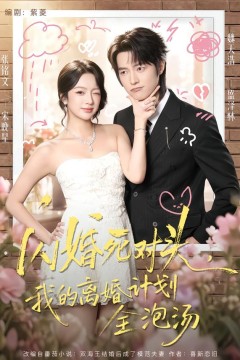 闪婚死对头,我的离婚计划全泡汤