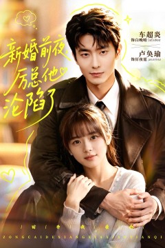 新婚前夜,厉总他沦陷了