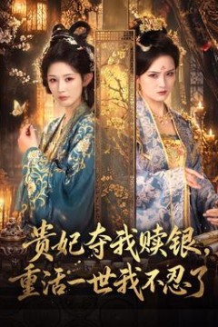 贵妃夺我赎银，重活一世我不忍了