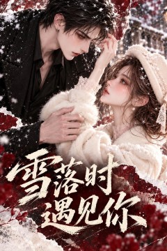 雪落时遇见你