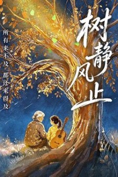 树静风止