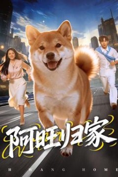 阿旺归家